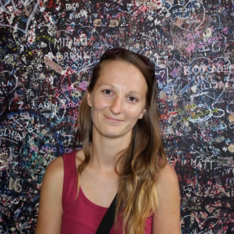 Dr. Vincze Judit